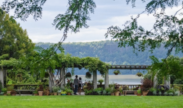 A Hidden Gem in the Bronx: Discover 1250 Waters Place and Why It Matters