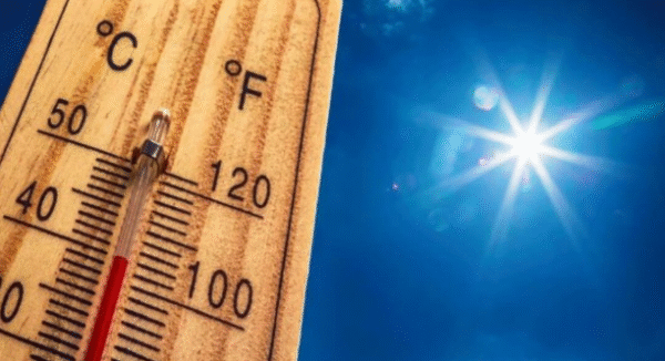 Understanding 38.2 C to F: What This Temperature Really Means