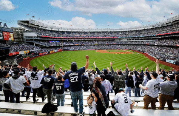 Discover Root Sports: Your Ultimate Guide to Local Sports Action